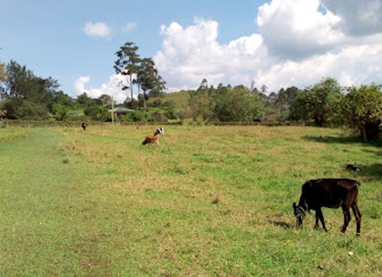 uganda/ankole/attraction/amabere-caves