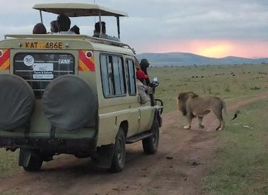 kenya/nairobi/attraction/perfect-wilderness-tours-and-safaris