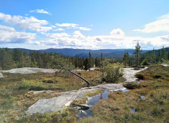 norway/norefjell/attraction/trillemarka-rollagsfjell-nature-reserve