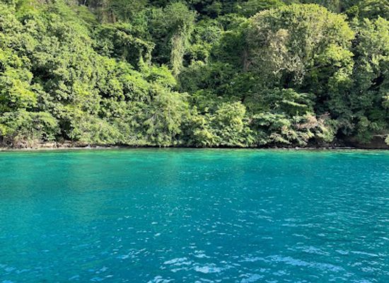 saint-vincent-and-the-grenadines/grenadines/attraction/kingstown-cruise-ship-pier