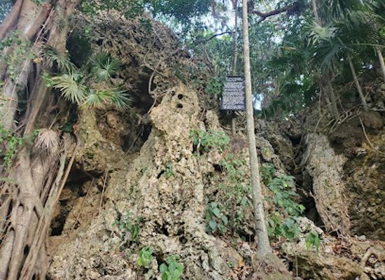 honduras/cayos-cochinos/attraction/the-bat-cave