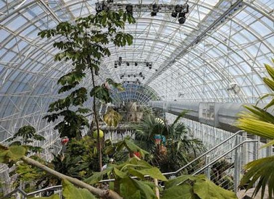 oklahoma/norman/attraction/myriad-botanical-gardens