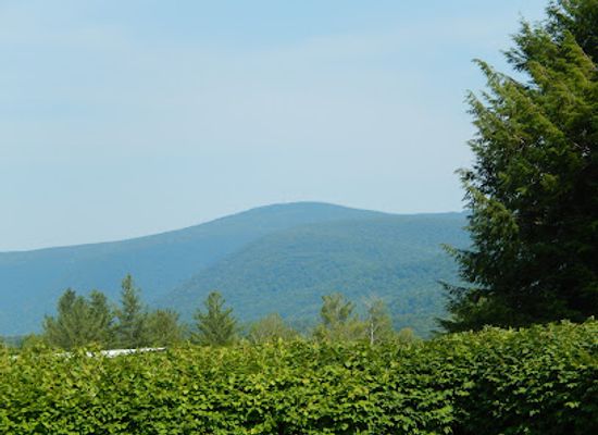 massachusetts/mount-greylock-state-reservation/attraction/field-farm-reservation