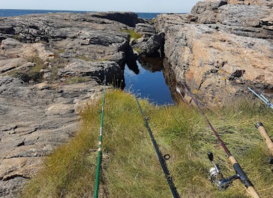 sweden/halland/attraction/biskopshagens-naturreservat