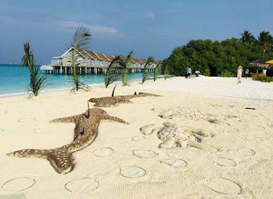 maldives/thoddoo/attraction/sand-bank-kuramathi-island-maldives