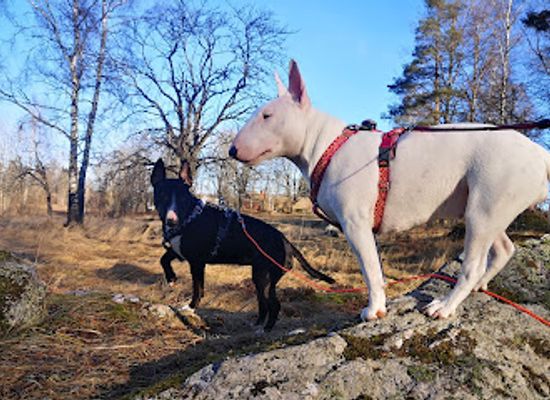 sweden/orebro/attraction/nature-reserve-hassle-byskogen