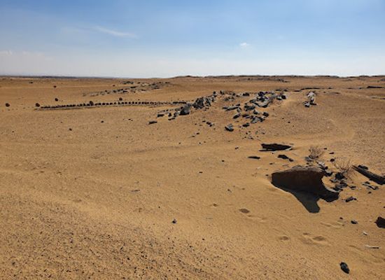 egypt/faiyum-oasis/attraction/petrified-forest-fayoum-protectorate