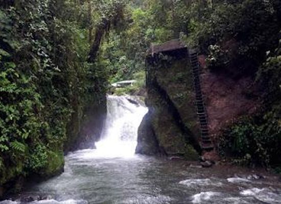 ecuador/quito/attraction/bosque-protector-mindo-nambillo