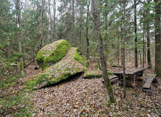 estonia/rapla-county/attraction/manniku-suurkivi