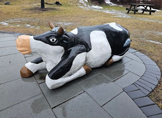 iceland/reykjavik/attraction/viking-cow