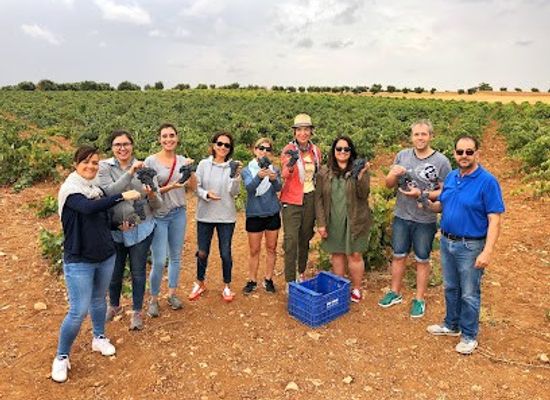 spain/madrid/attraction/colorful-wines-wine-tours-madrid