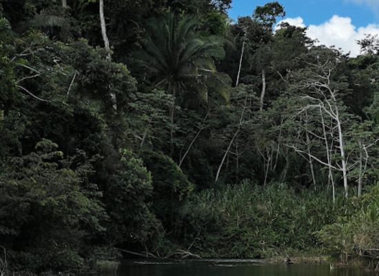 belize/toledo-district/attraction/outback-trails