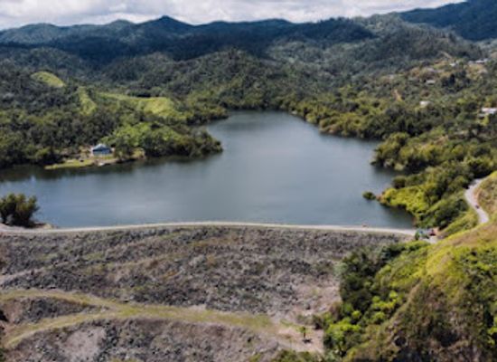puerto-rico/puerto-rican-cordillera/attraction/bosque-estatal-de-guilarte
