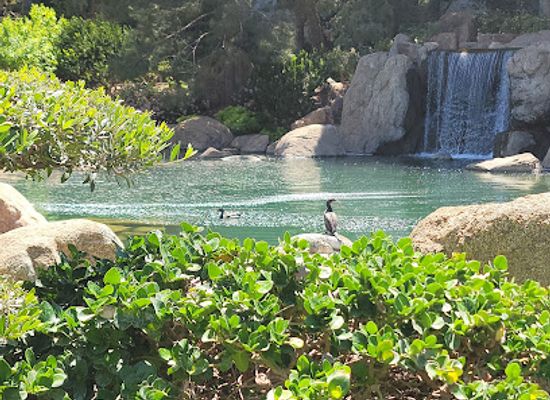 arizona/phoenix/attraction/margaret-t-hance-park