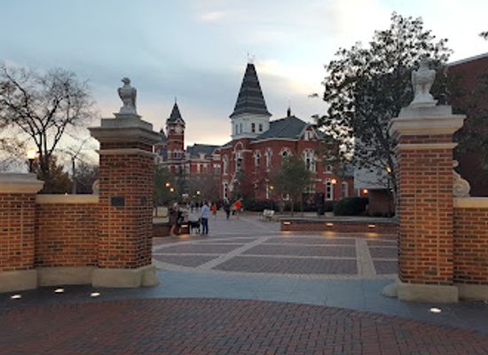 alabama/piedmont-plateau/attraction/toomer-s-oaks