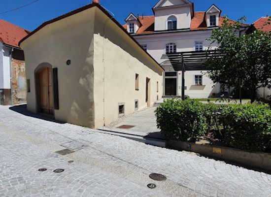 slovenia/maribor/stara-trta/attraction/oldest-vine-museum
