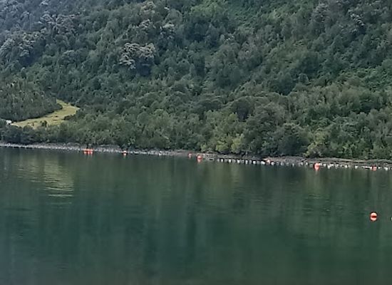 chile/los-rios-region/attraction/parque-krahmer