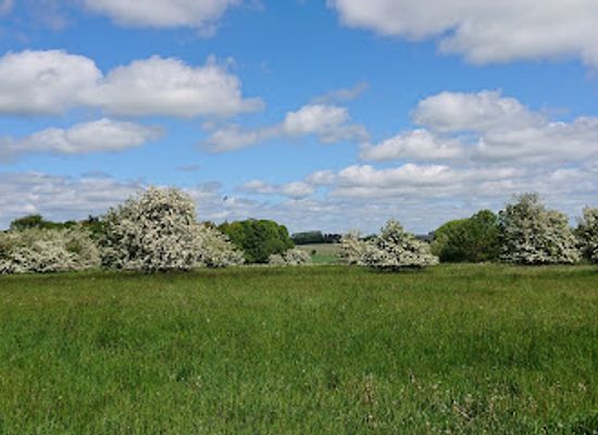 denmark/randers/landmark/nordre-falled