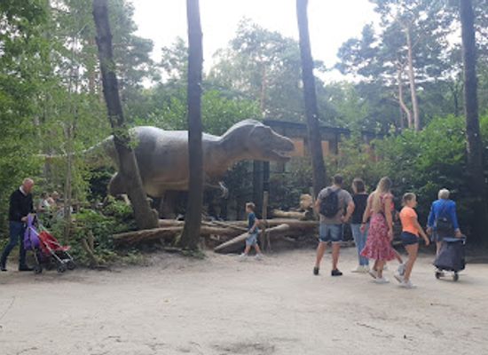 netherlands/achterhoek/attraction/dinobos-dierenpark-amersfoort