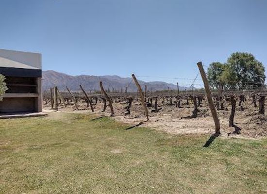 argentina/cafayate/attraction/bodega-vasija-secreta