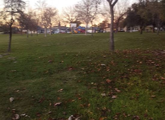california/manteca/attraction/doxey-park