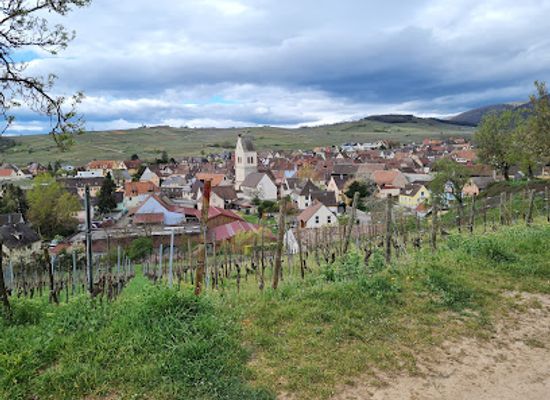 france/alsace-wine-route/attraction/grands-crus-sentier-viticole
