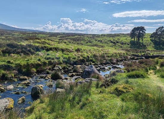 ireland/county-wicklow/attraction/sean-kelly-bridge
