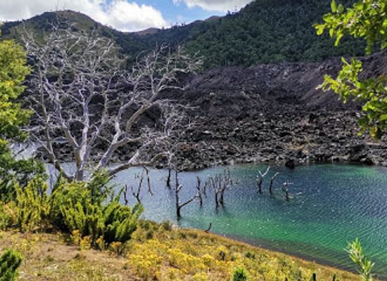 chile/araucania-region/attraction/malalcahuello-nalcas-national-reserve