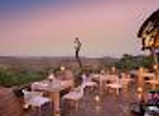 botswana/kgatleng-district/attraction/madikwe-safari-lodge