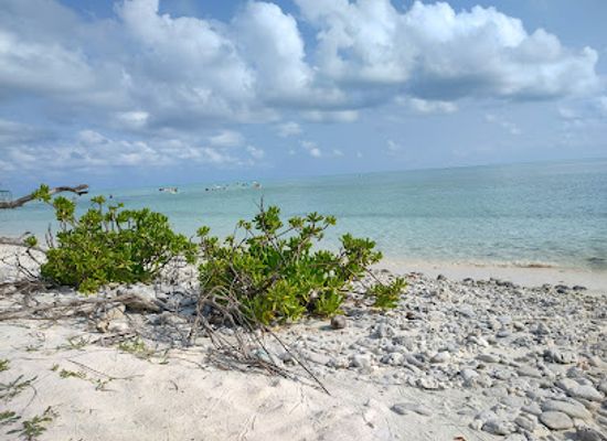 india/lakshadweep/attraction/thundi-beach