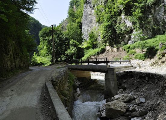 romania/gorj/attraction/bat-s-cave
