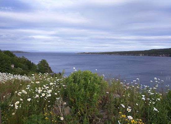 canada/avalon-peninsula/attraction/historic-harbour-rock-hill-park
