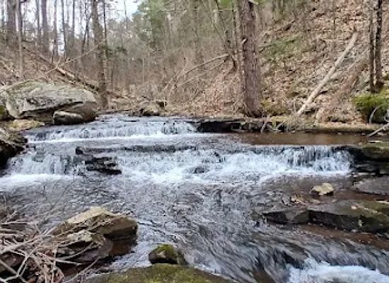 pennsylvania/southern-alleghenies/attraction/jarrett-falls