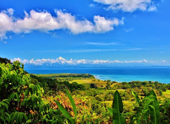 costa-rica/osa-peninsula/attraction/rancho-tropical