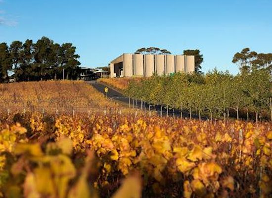 australia/hobart/attraction/moorilla-winery