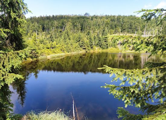 germany/bavarian-forest-national-park/attraction/hirschbachschwelle