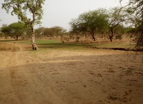 burkina-faso/gorom-gorom/attraction/sahel-reserve