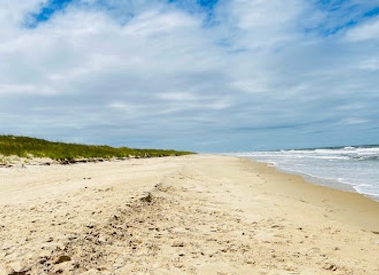 virginia/virginia-beach/sandbridge-beach/attraction/false-cape-state-park