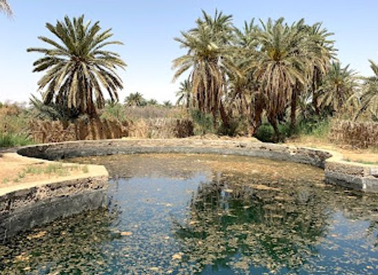 egypt/siwa-oasis/attraction/malol-spring