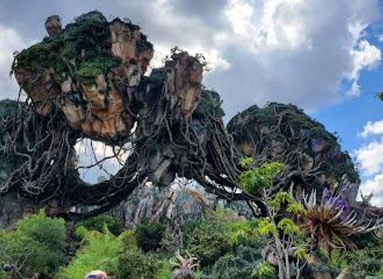 florida/greater-orlando/attraction/pandora-the-world-of-avatar