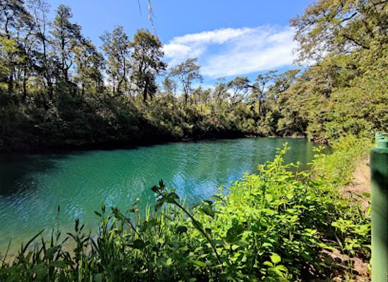 chile/los-rios-region/attraction/laguna-verde