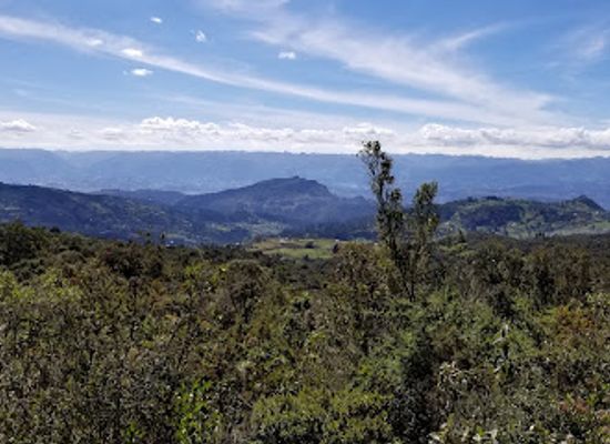 ecuador/azuay-region/attraction/aguarongo-forest