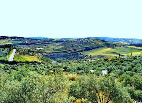 jordan/ajloun-castle/attraction/ajloun-tourist-park