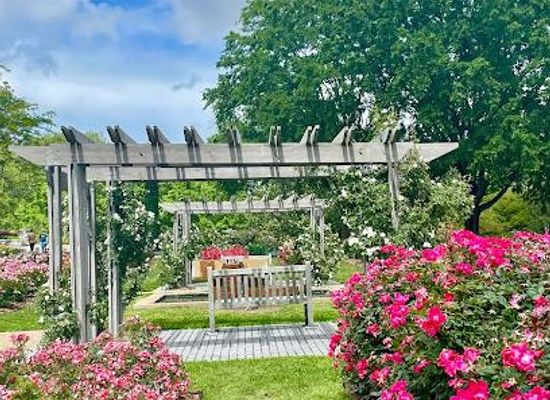 virginia/virginia-beach/attraction/norfolk-botanical-garden