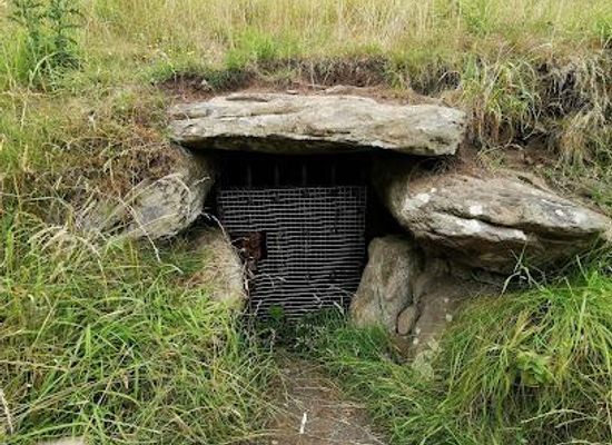ireland/county-louth/attraction/dowth-passage-tomb