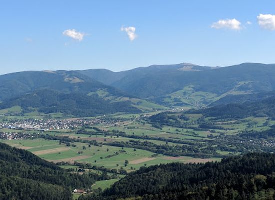 germany/freiburg/attraction/friedrichsturm