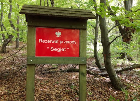 poland/silesia/attraction/rezerwat-przyrody-segiet