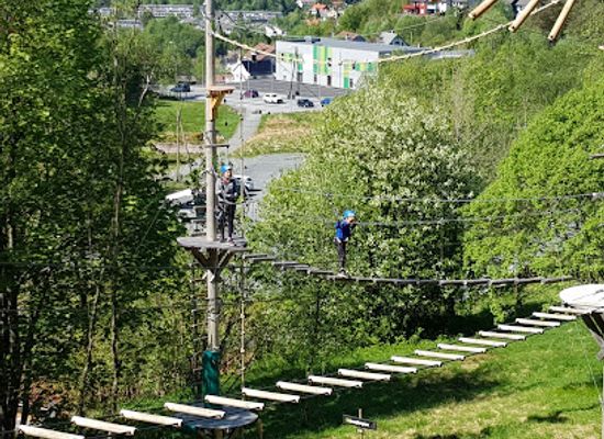 norway/hordaland/attraction/hoyt-lavt-bergen