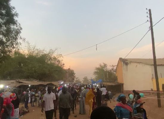 mali/segou/attraction/festival-sur-le-niger-segou