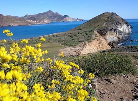 spain/cabo-de-gata/attraction/genovese-beach-fossilised-dune